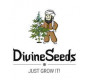 Divine Seeds