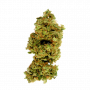 Семена конопли Auto Kali Mist Feminised Gold от Error Seeds - Smartshop-smartshop.ua®