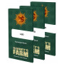 Cannabis seeds LSD from Barney's Farm at Smartshop-smartshop.ua®