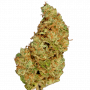 Семена конопли Auto Pablo Escobar от Divine Seeds - Smartshop-smartshop.ua®