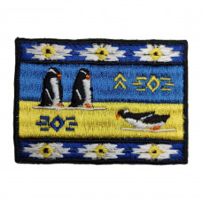 Chevron patch collectible "Fighting penguins"