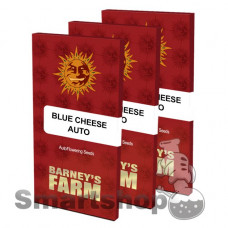 Blueberry Cheese Auto Feminised (Blue Cheese Auto)
