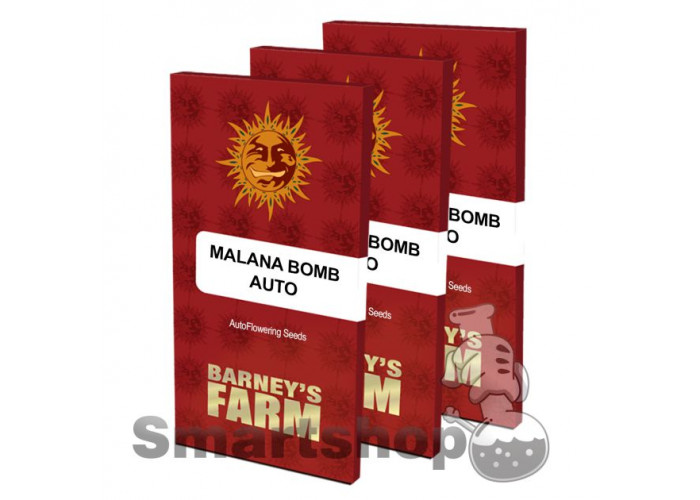 Malana Auto Bomb Feminised