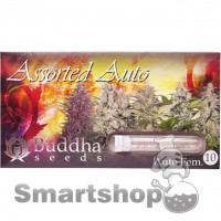 BUDDHA ASSORTED AUTO FEMINIZED