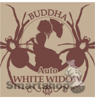 BUDDHA AUTO WHITE WIDOW FEMINIZED