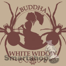 BUDDHA WHITE WIDOW FEMINIZED