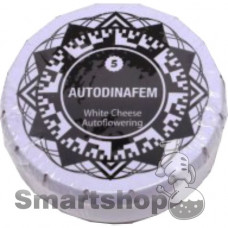 White Cheese Autoflowering Feminised