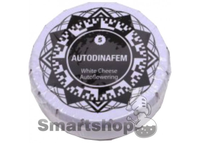 White Cheese Autoflowering Feminised