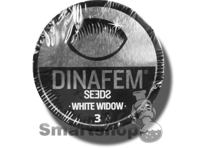 White Widow feminized Dinafem