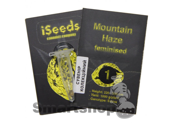 Семена сорта Mountain Haze feminised