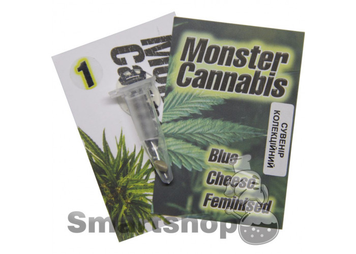 Blue Cheese feminised Monster Cannabis
