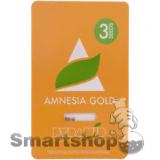 Amnesia Gold Feminised