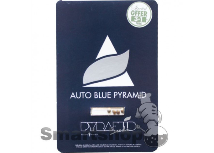 Auto Blue Pyramid Feminised