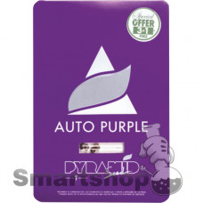 Auto Purple Feminised
