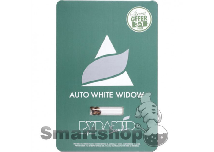 Auto White Widow Feminised Pyramid Seeds