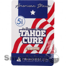 Tahoe Cure Feminised