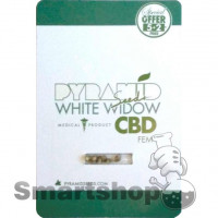 White Widow CBD Feminised