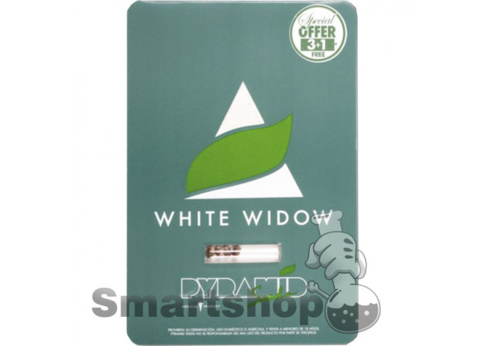 White Widow Feminised Pyramid Seeds