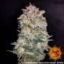 Cannabis seeds SOUR STRAWBERRY from Barney's Farm at Smartshop-smartshop.ua®