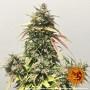 Семена конопли PINEAPPLE EXPRESS AUTO от Barney's Farm в Smartshop-smartshop.ua®