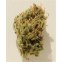 Семена конопли Auto Pineapple Chunk Feminised Gold от Error Seeds - Smartshop-smartshop.ua®