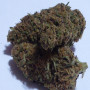 Семена конопли Auto Blue Cheese от Divine Seeds - Smartshop-smartshop.ua®