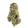 Семена конопли LSD Feminised Gold от Error Seeds - Smartshop-smartshop.ua®