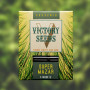 Семена конопли SUPER MAZAR от Victory Seeds в Smartshop-smartshop.ua®