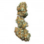 Семена конопли Winning Cake Feminised Silver от Error Seeds - Smartshop-smartshop.ua®