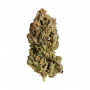 Семена конопли Royal Highness Feminised Silver от Error Seeds - Smartshop-smartshop.ua®