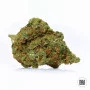 Насіння конопель AMNESIA PLATINUM від Bulk Seed Bank у Smartshop-smartshop.ua®
