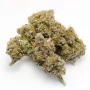 Cannabis seeds Auto Banana Punch Feminised Silver from Error Seeds at Smartshop-smartshop.ua®