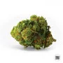 Насіння конопель AUTO BIGGER BUD від Bulk Seed Bank у Smartshop-smartshop.ua®