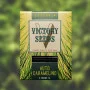 Насіння конопель Auto CARAMELINO від Victory Seeds у Smartshop-smartshop.ua®