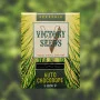 Cannabis seeds Auto CHOCODOPE from Victory Seeds at Smartshop-smartshop.ua®