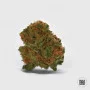 Cannabis seeds AUTO COFFE ROCKET from Bulk Seed Bank at Smartshop-smartshop.ua®