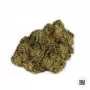 Cannabis seeds AUTO EXTRA MINTZ from Bulk Seed Bank at Smartshop-smartshop.ua®