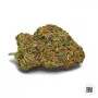Семена конопли AUTO KALI’S lavender от Bulk Seed Bank в Smartshop-smartshop.ua®