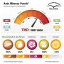 Сорт насіння канабісу AUTO MIMOSA PUNCH®