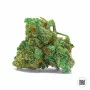 Насіння конопель AUTO NBA DIESEL від Bulk Seed Bank у Smartshop-smartshop.ua®