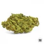 Семена конопли AUTO NORTHERN LIGHT от Bulk Seed Bank в Smartshop-smartshop.ua®