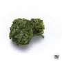 Cannabis seeds AUTO OG KUSH from Bulk Seed Bank at Smartshop-smartshop.ua®
