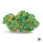 Семена конопли AUTO SWEET TOOTH от Bulk Seed Bank в Smartshop-smartshop.ua®