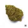 Семена конопли CHEESE от Bulk Seed Bank в Smartshop-smartshop.ua®