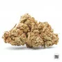 Насіння конопель COCOPOPO від Bulk Seed Bank у Smartshop-smartshop.ua®