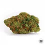 Cannabis seeds DARK DOMINA from Bulk Seed Bank at Smartshop-smartshop.ua®