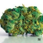 Насіння конопель GRANDE CRACK від Bulk Seed Bank у Smartshop-smartshop.ua®