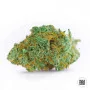 Насіння конопель MASTER KUSH GRAND від Bulk Seed Bank у Smartshop-smartshop.ua®