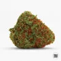 Семена конопли ORIGINAL ORANGE BUD от Bulk Seed Bank в Smartshop-smartshop.ua®