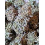 Сорт насіння канабісу Cookies Haze